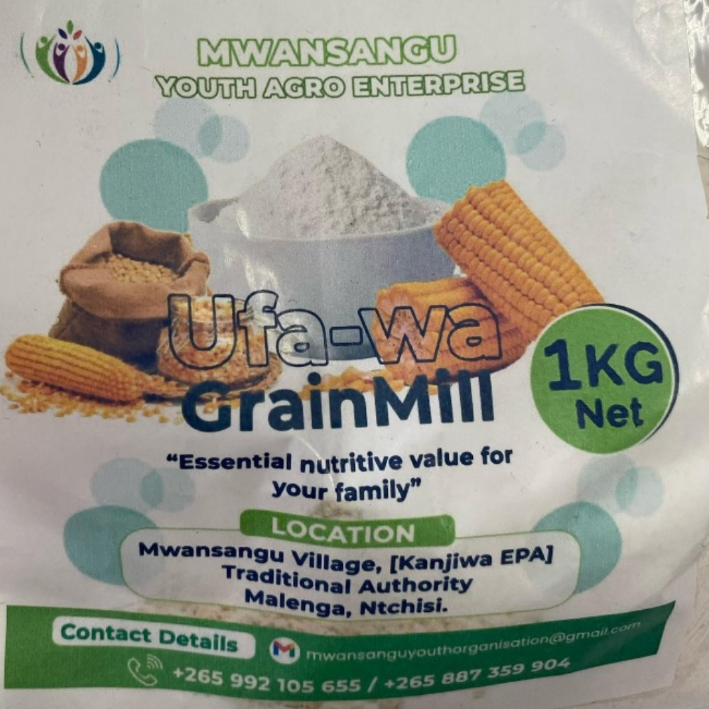 Youth leadership meeting